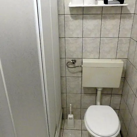 Pred Peklom * Borovnica
